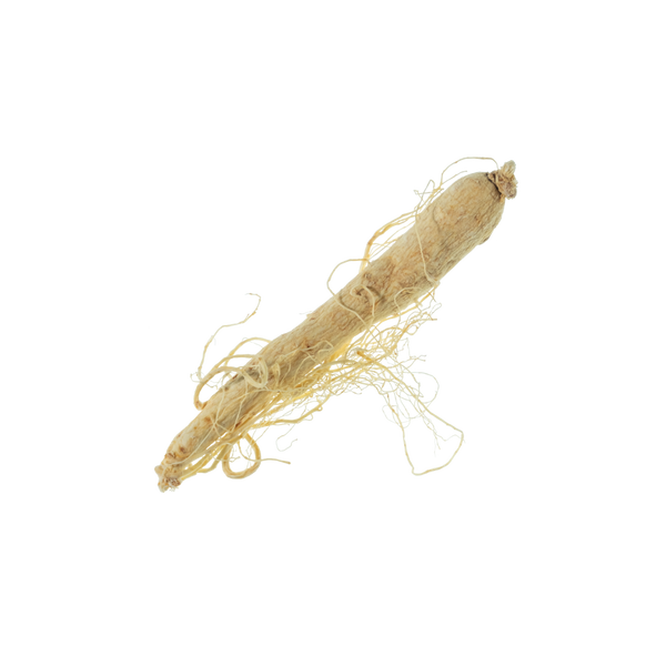 Ginseng